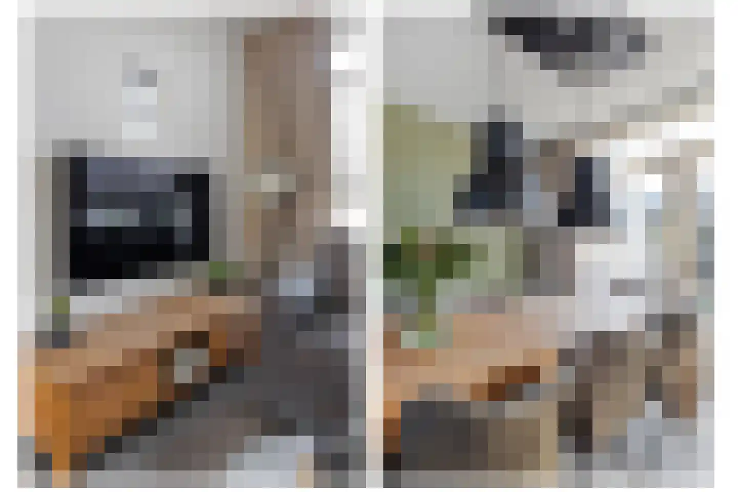 Dokter Wasmannstraat 8 Druten thumbnail 7