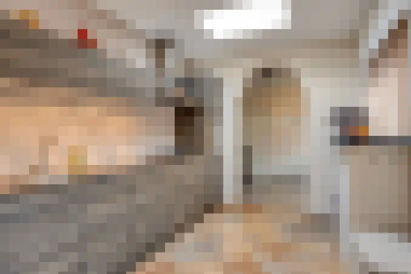 Dokter Weversstraat 12 Volendam thumbnail 16