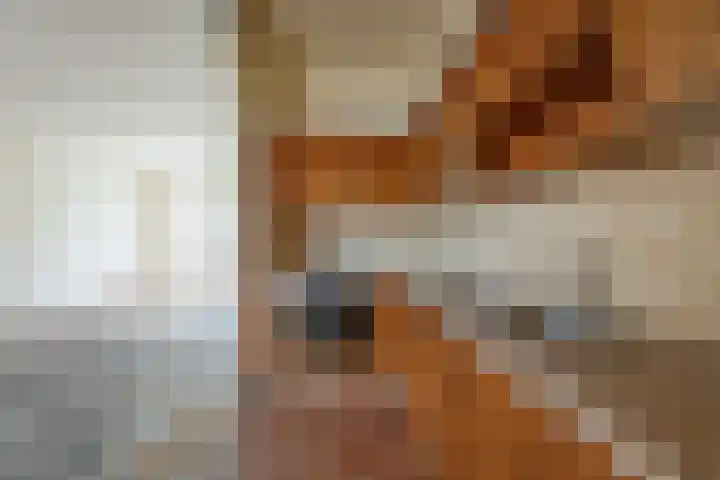 Dokter Weversstraat 14 Volendam thumbnail 13