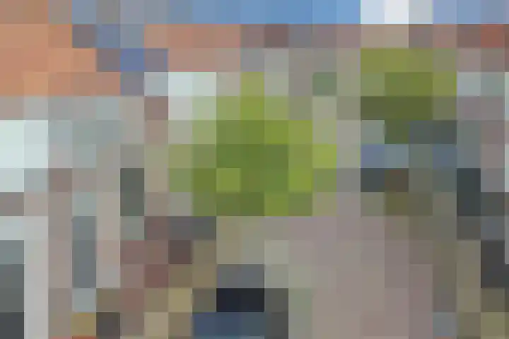 Dokter Weversstraat 14 Volendam thumbnail 38