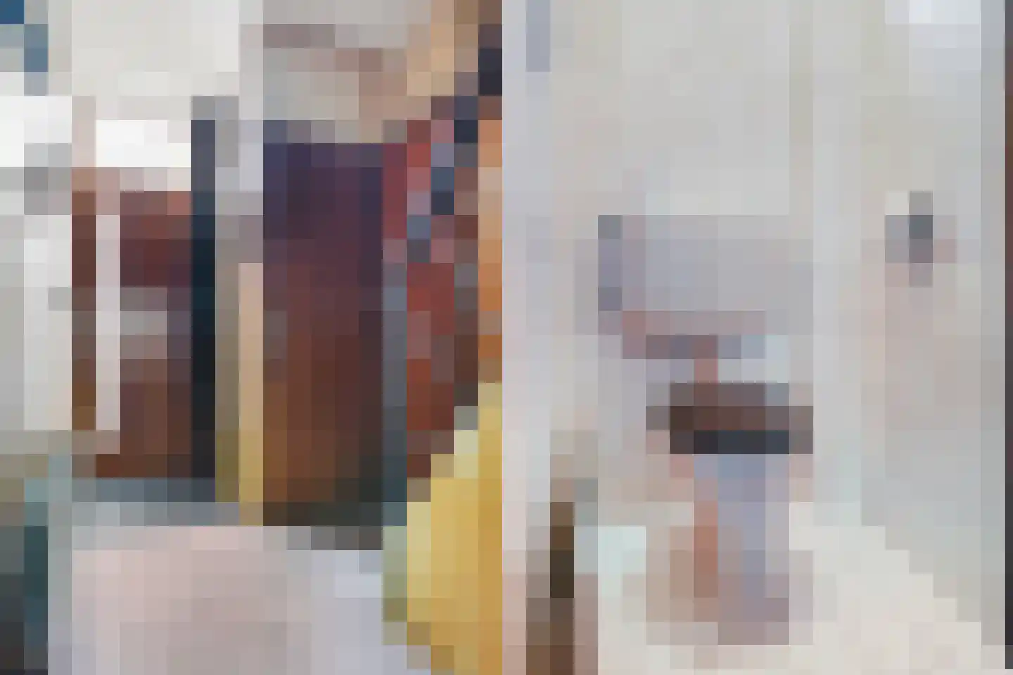 Dokter Weversstraat 29 Volendam thumbnail 12