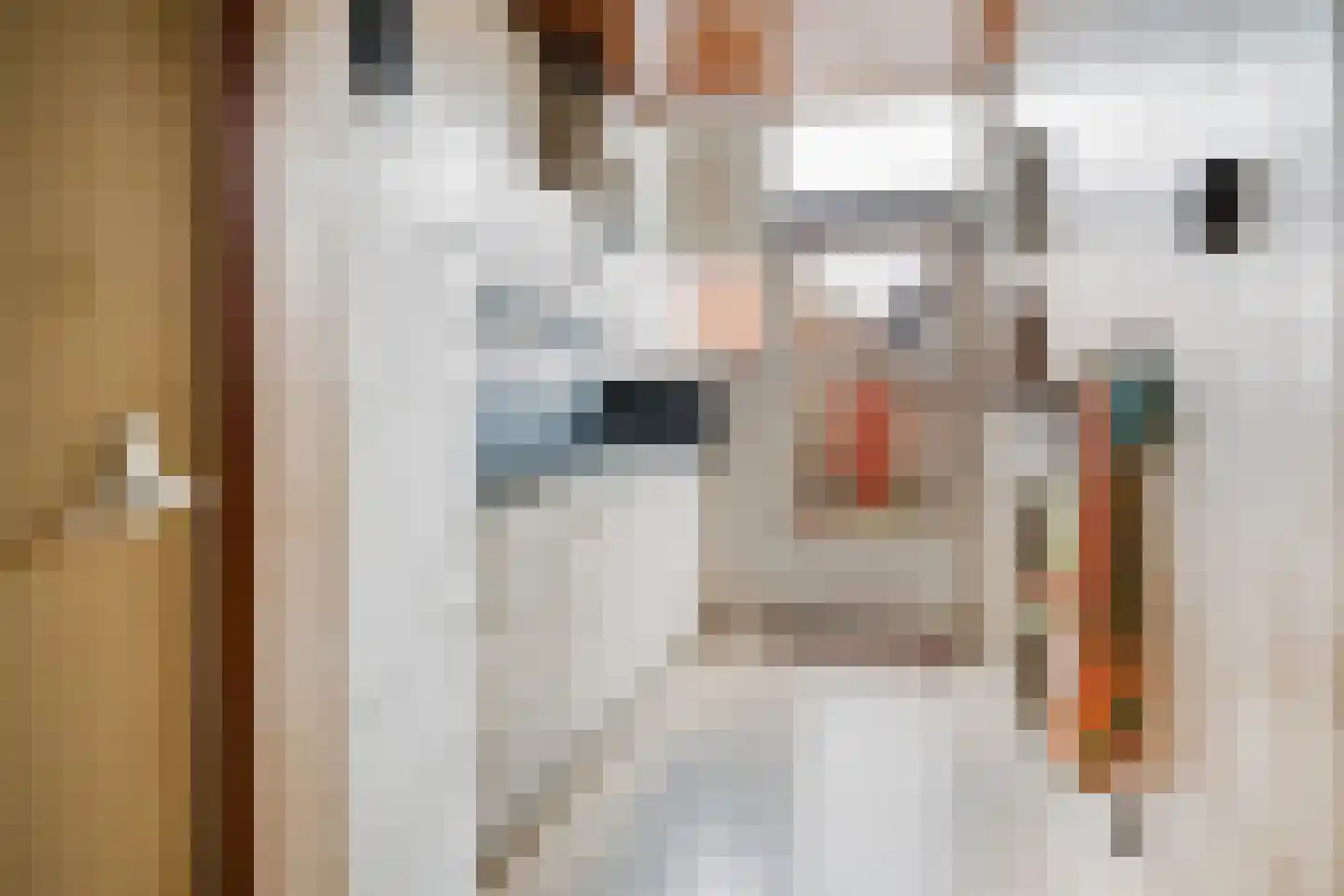 Dokter Weversstraat 29 Volendam thumbnail 5