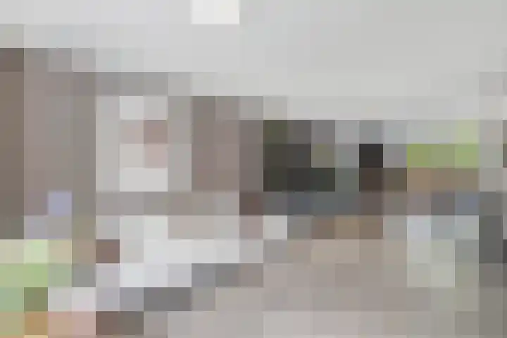 Dokter Wilminkstraat 10 Noord-Scharwoude thumbnail 5