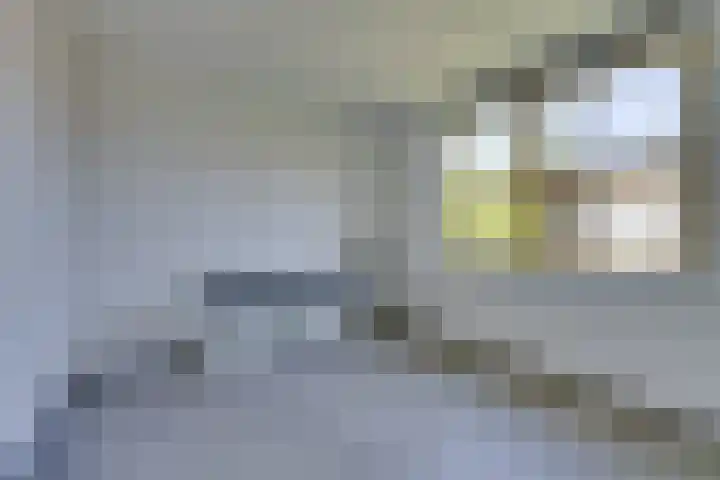 Dokter Wilminkstraat 21 Noord-Scharwoude thumbnail 32