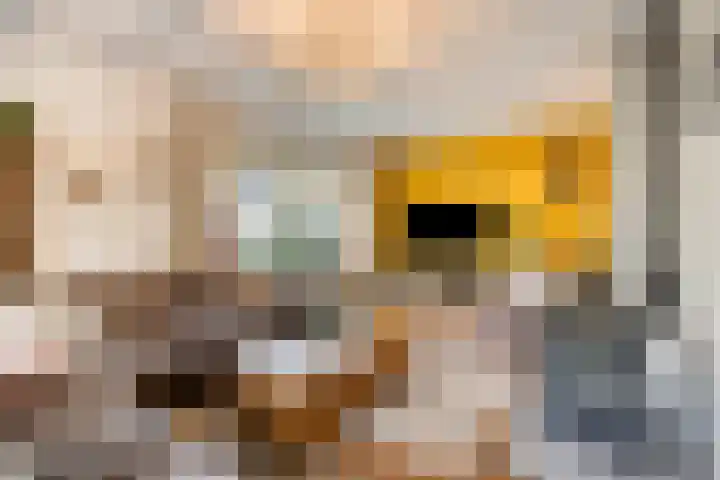 Dokter Windemullerweg 3 Vaassen thumbnail 10