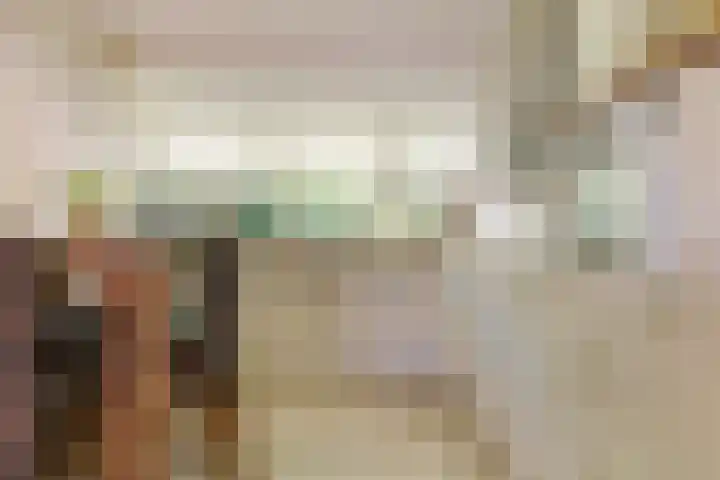 Dokter Windemullerweg 3 Vaassen thumbnail 12