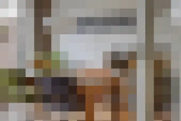 Dokter Windemullerweg 3 Vaassen thumbnail 13