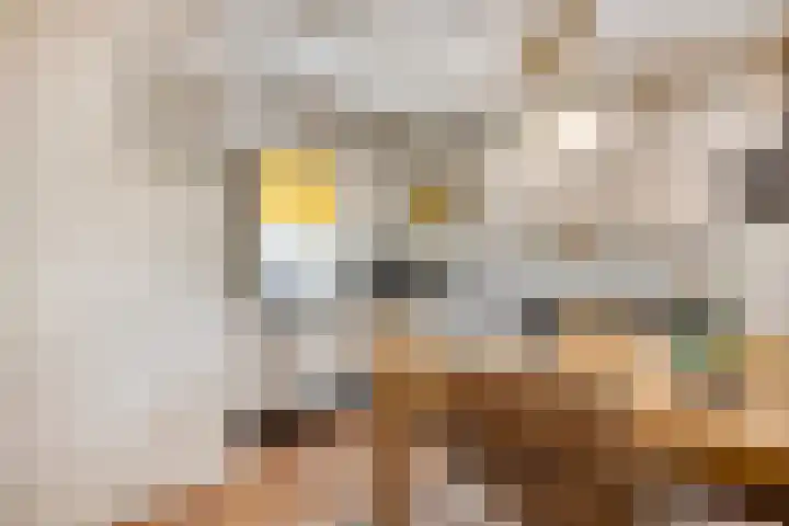 Dokter Windemullerweg 3 Vaassen thumbnail 14