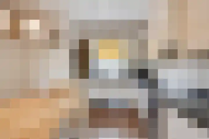 Dokter Windemullerweg 3 Vaassen thumbnail 16
