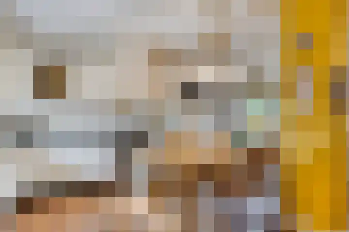 Dokter Windemullerweg 3 Vaassen thumbnail 18