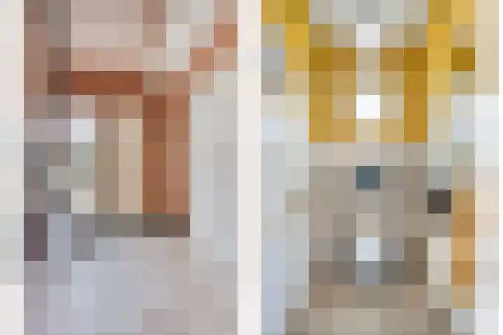 Dokter Windemullerweg 3 Vaassen thumbnail 22