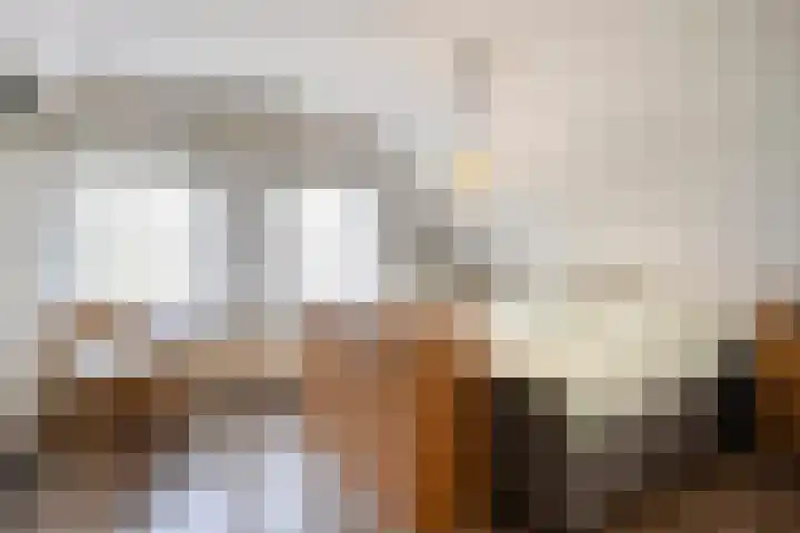Dokter Windemullerweg 3 Vaassen thumbnail 24