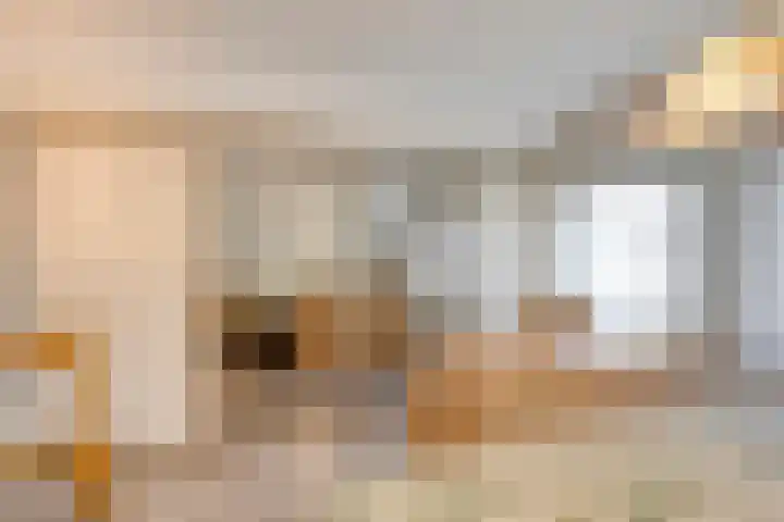 Dokter Windemullerweg 3 Vaassen thumbnail 25