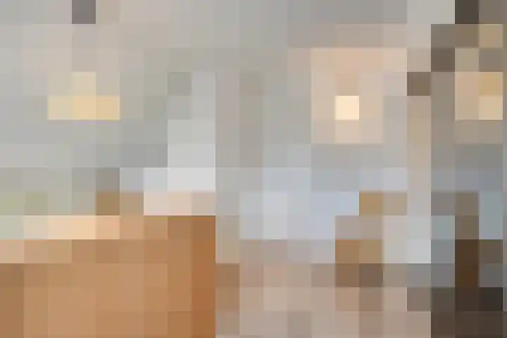 Dokter Windemullerweg 3 Vaassen thumbnail 26