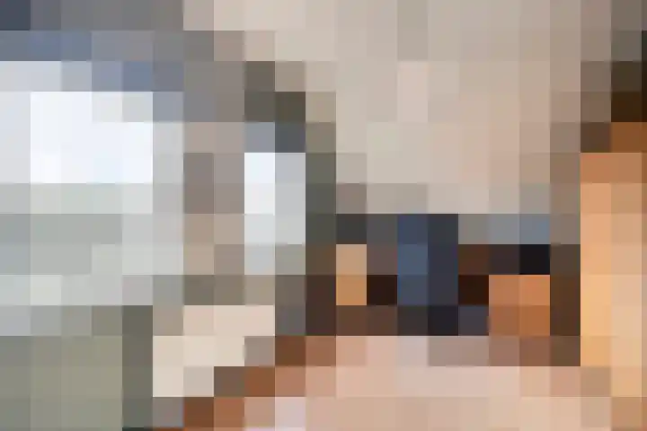 Dokter Windemullerweg 3 Vaassen thumbnail 27
