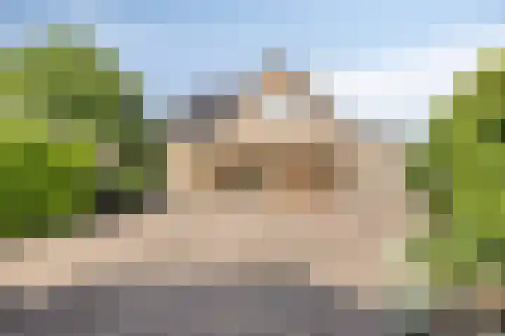 Dokter Windemullerweg 3 Vaassen foto 3