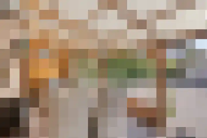 Dokter Windemullerweg 3 Vaassen thumbnail 33