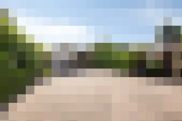Dokter Windemullerweg 3 Vaassen thumbnail 34
