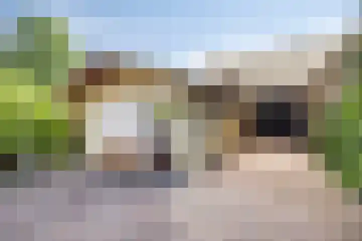 Dokter Windemullerweg 3 Vaassen thumbnail 36