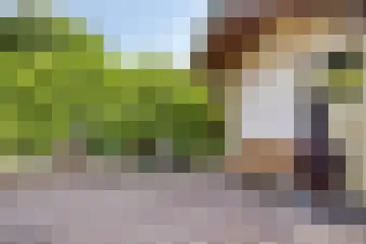 Dokter Windemullerweg 3 Vaassen thumbnail 37