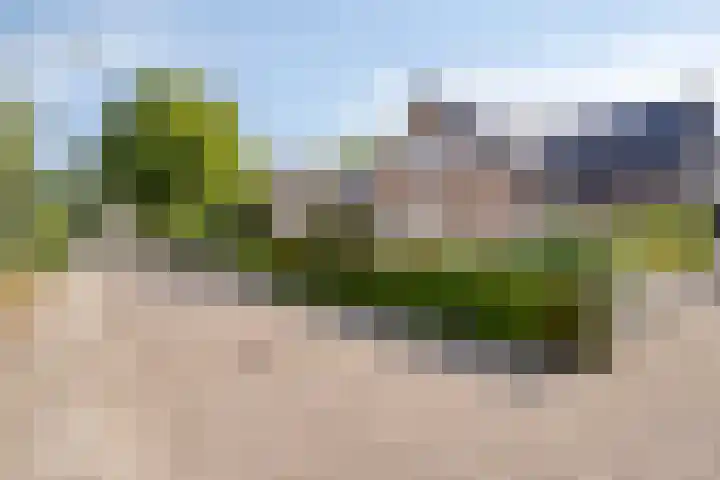 Dokter Windemullerweg 3 Vaassen thumbnail 39