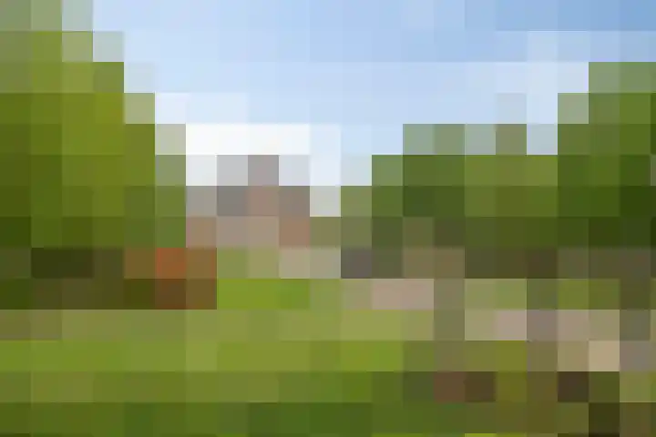 Dokter Windemullerweg 3 Vaassen thumbnail 42
