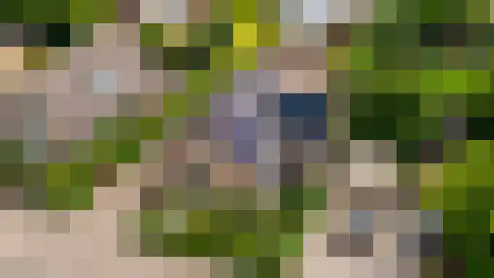 Dokter Windemullerweg 3 Vaassen thumbnail 49