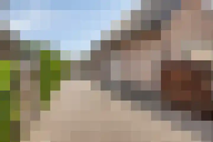 Dokter Windemullerweg 3 Vaassen thumbnail 6