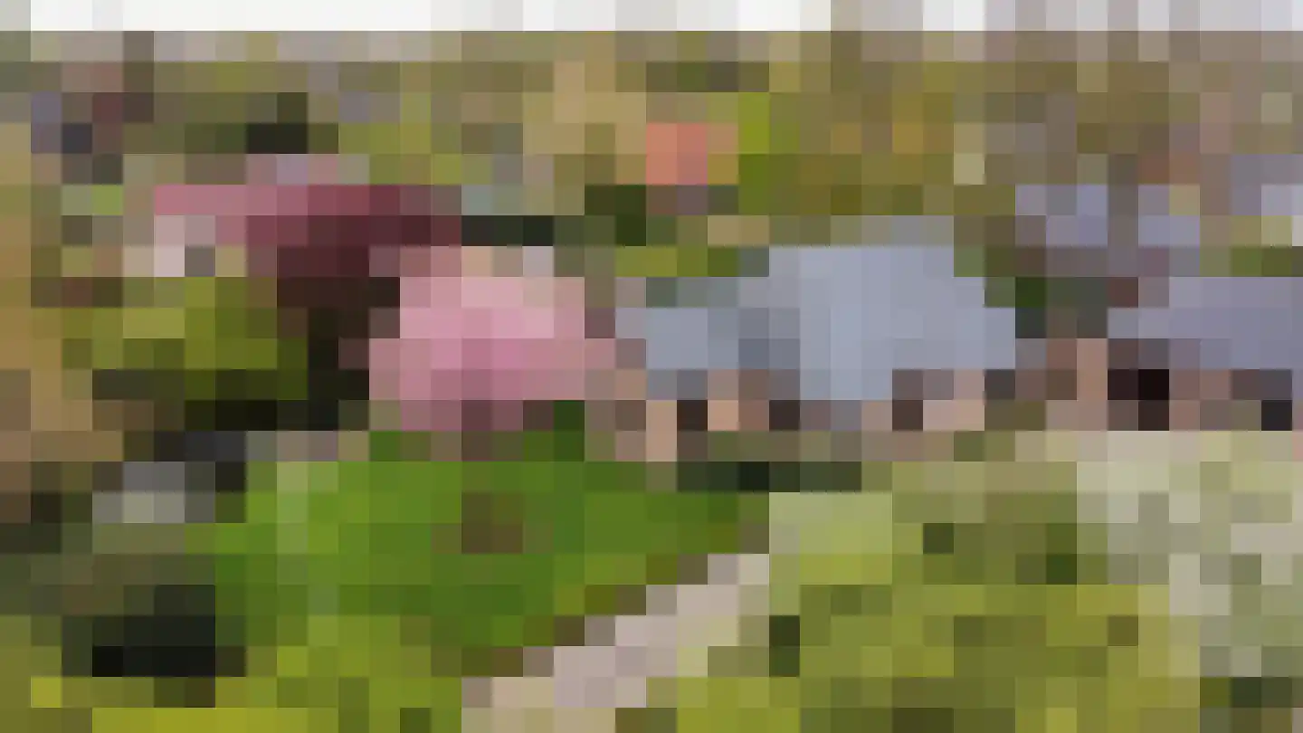 Dokter Ypeijlaan 12 Noardburgum thumbnail 4