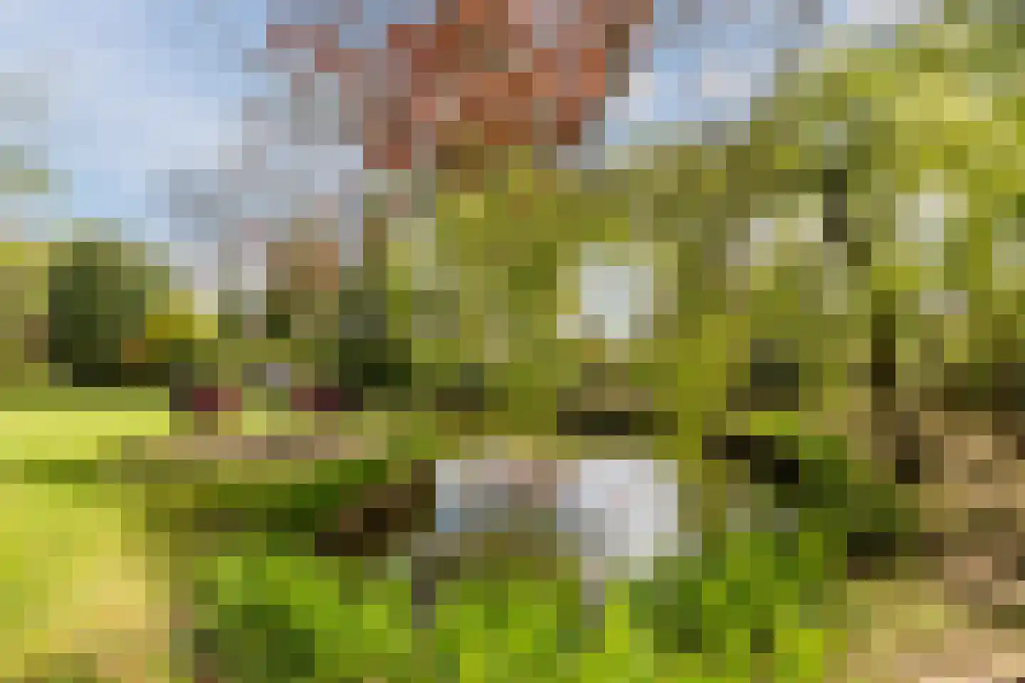 Dokter Ypeijlaan 12 Noardburgum thumbnail 42