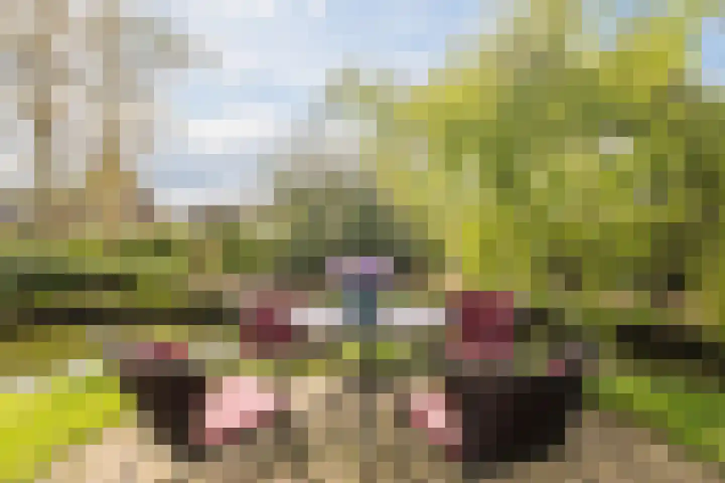 Dokter Ypeijlaan 12 Noardburgum thumbnail 43