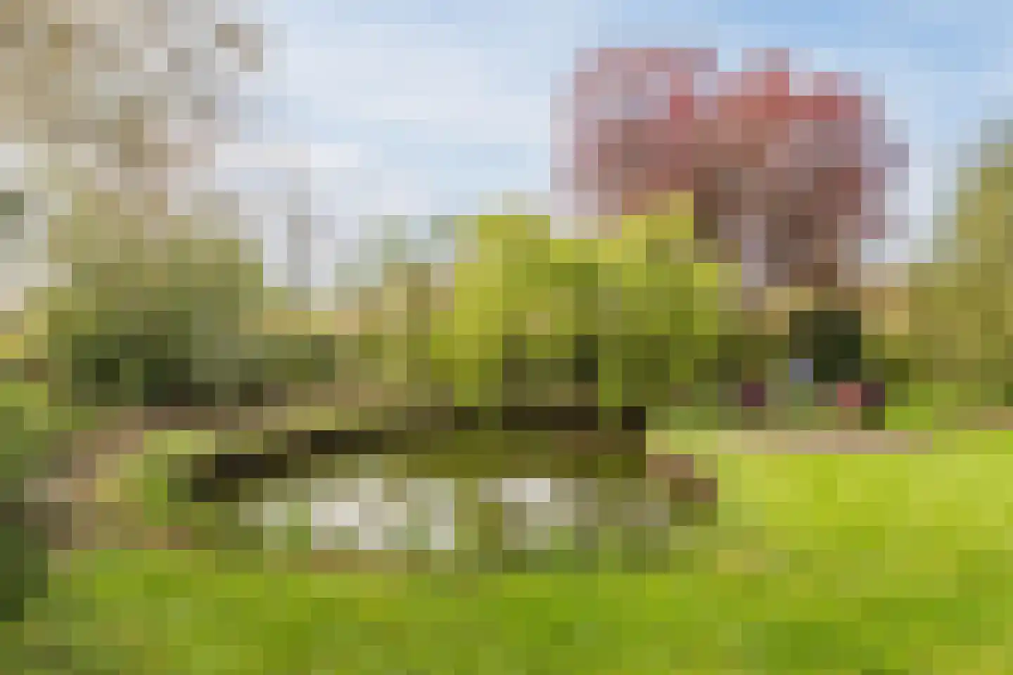 Dokter Ypeijlaan 12 Noardburgum thumbnail 44