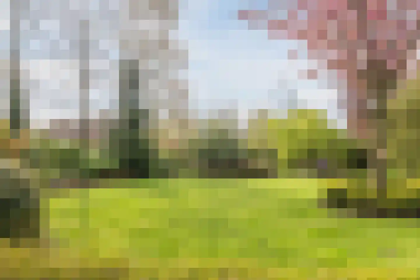 Dokter Ypeijlaan 12 Noardburgum thumbnail 46