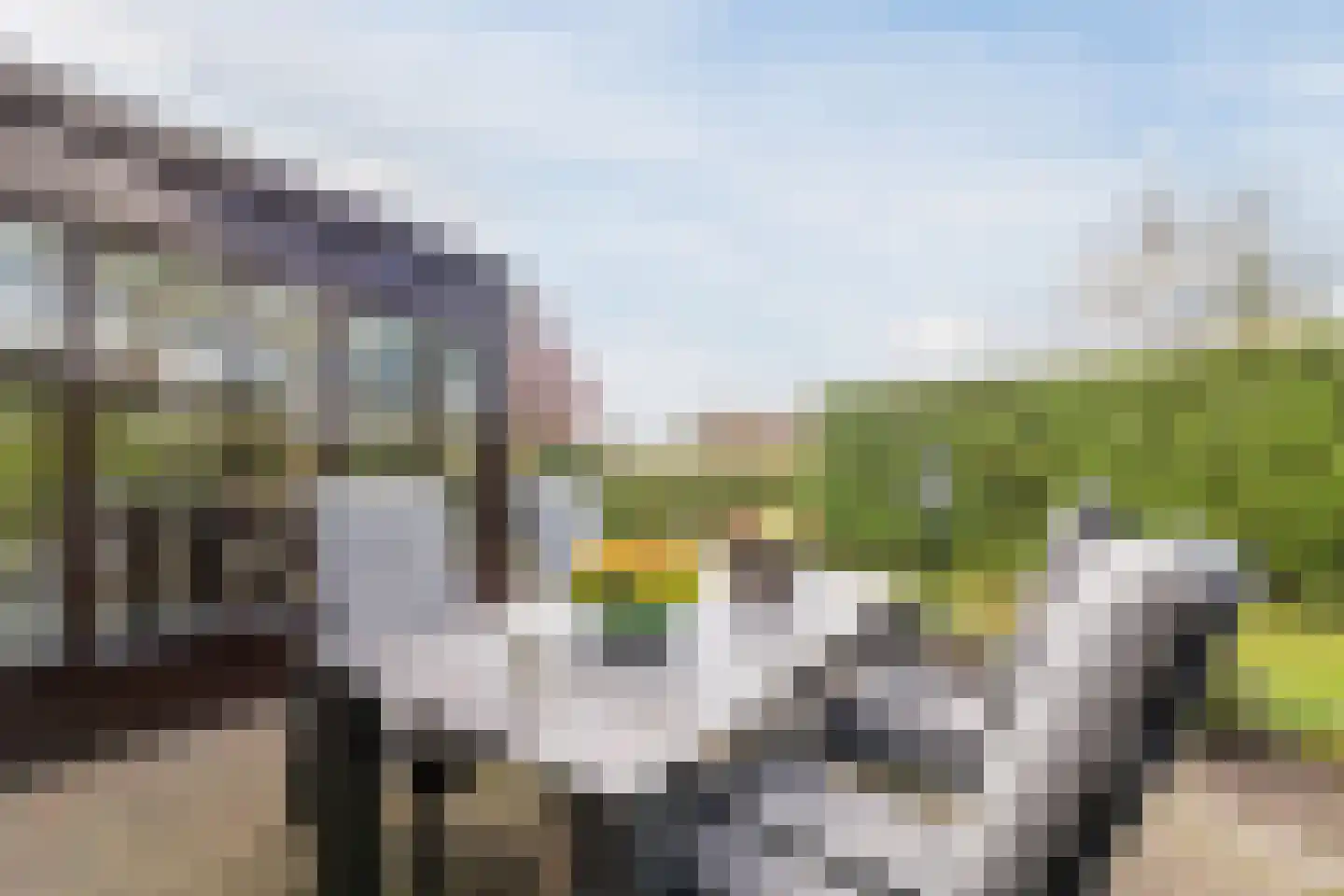 Dokter Ypeijlaan 12 Noardburgum thumbnail 47
