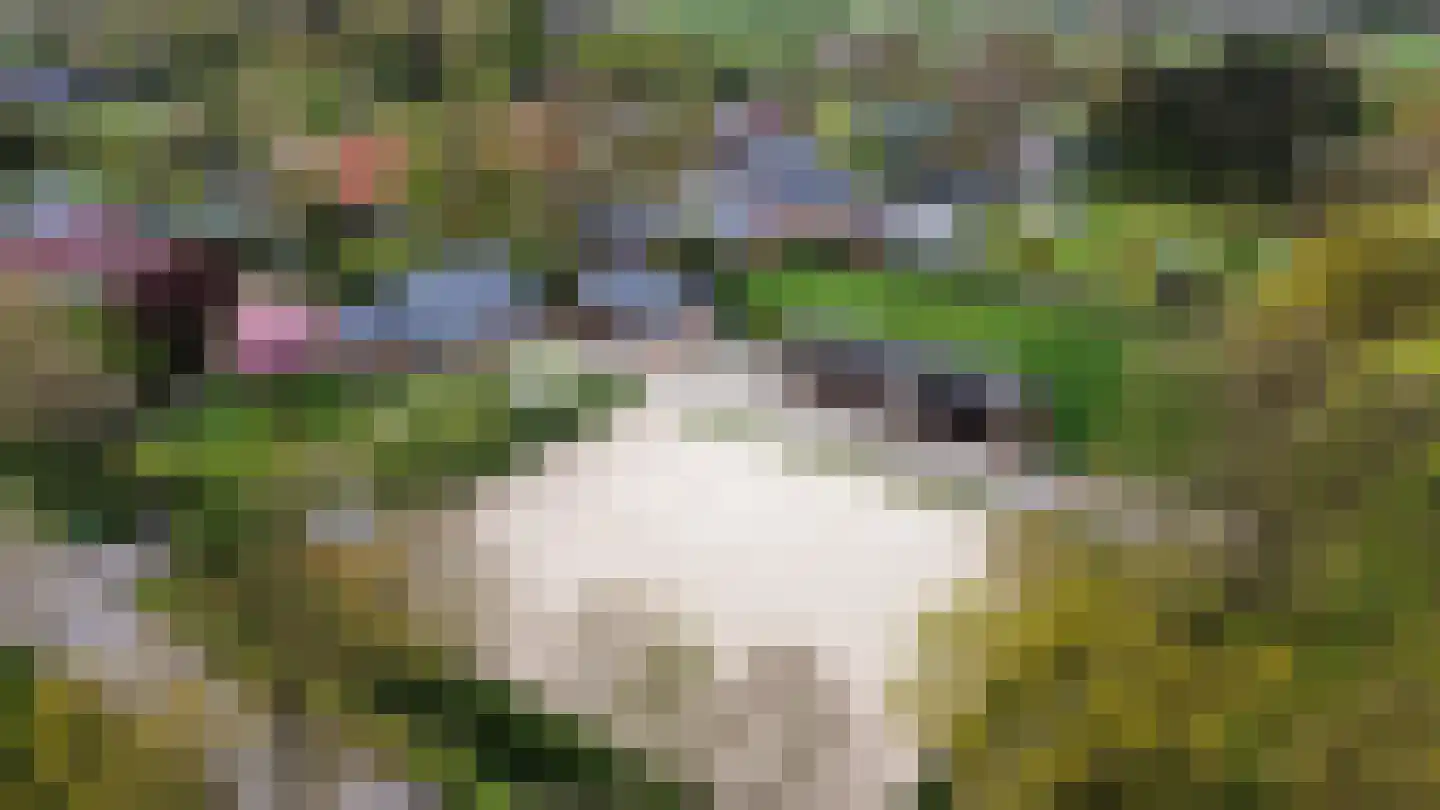 Dokter Ypeijlaan 12 Noardburgum thumbnail 54