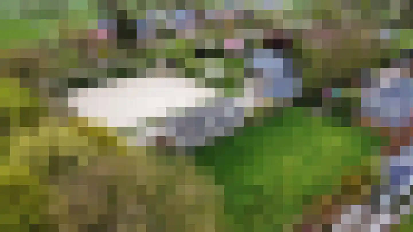 Dokter Ypeijlaan 12 Noardburgum thumbnail 56