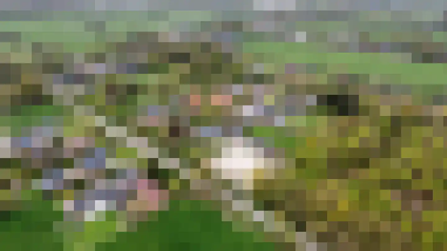 Dokter Ypeijlaan 12 Noardburgum thumbnail 57