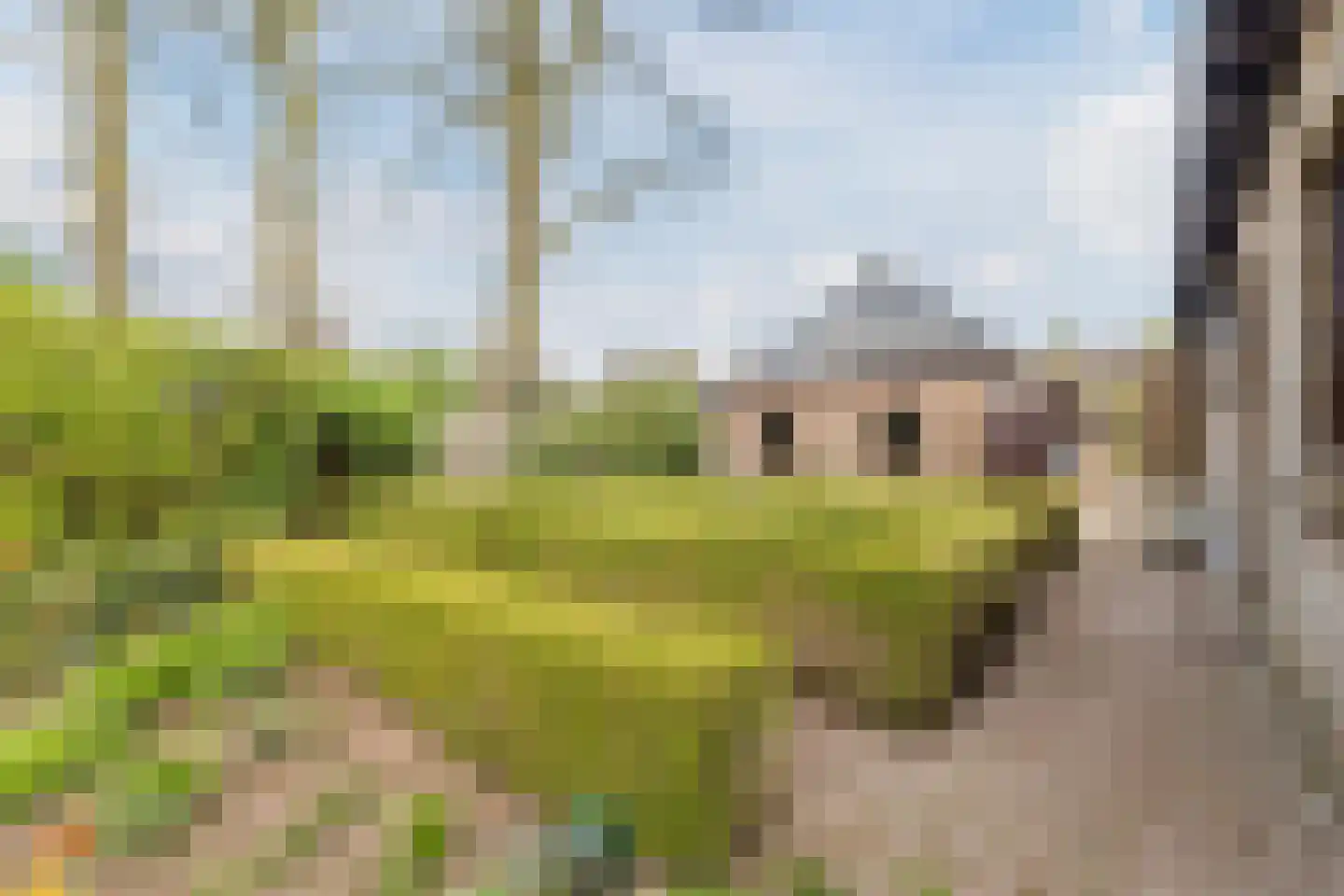 Dokter Ypeijlaan 12 Noardburgum thumbnail 59