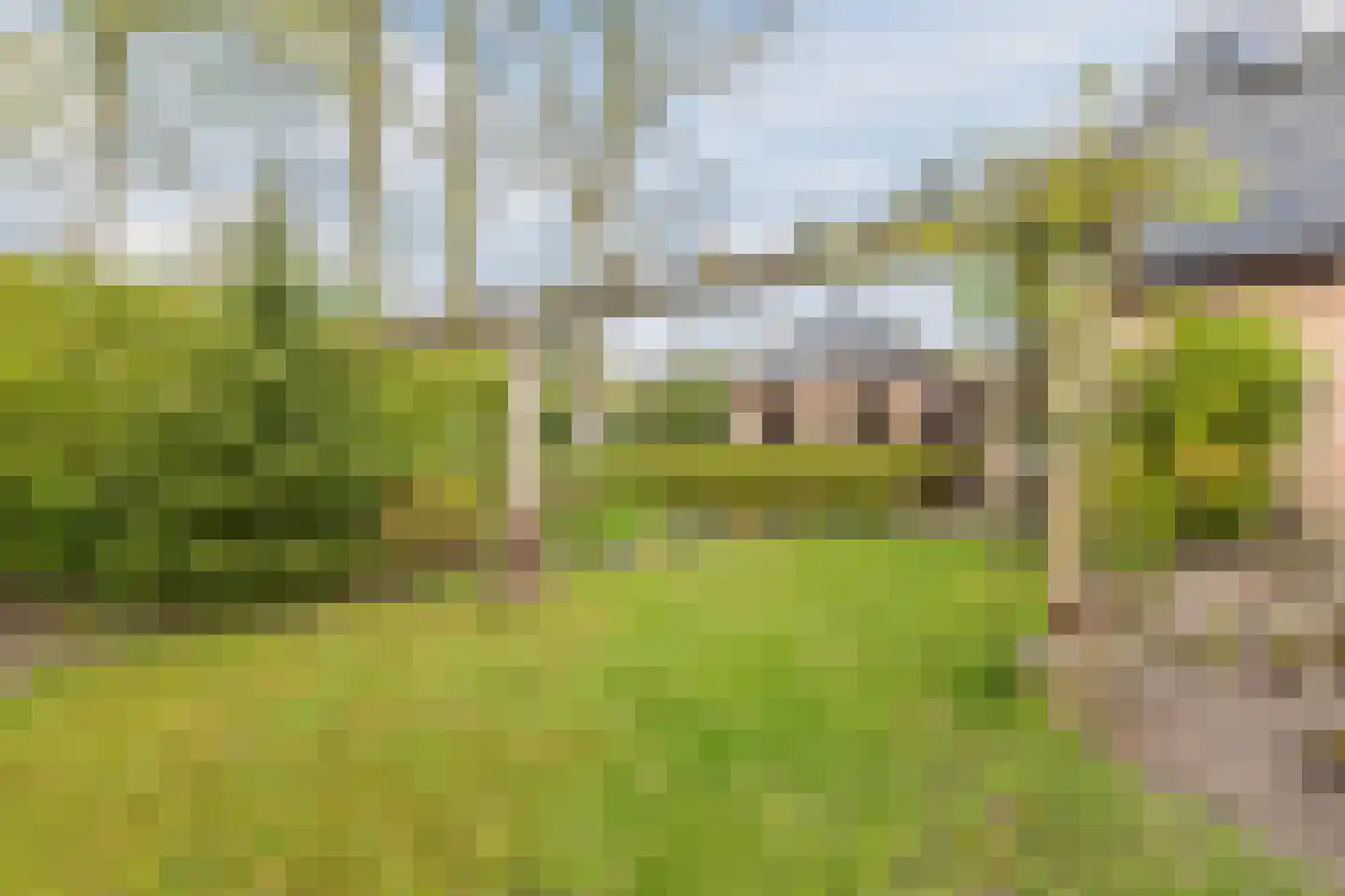 Dokter Ypeijlaan 12 Noardburgum thumbnail 60