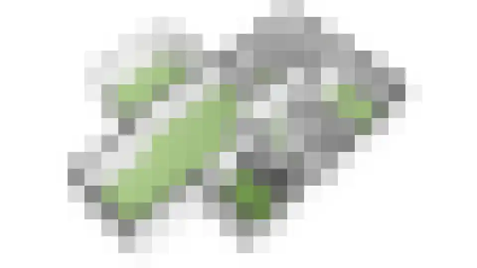 Dokter Ypeijlaan 12 Noardburgum thumbnail 63