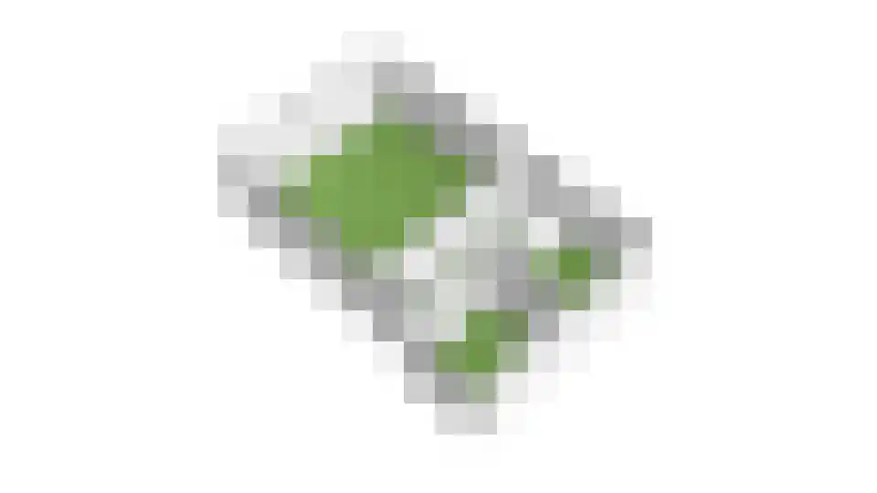 Dokter Ypeijlaan 12 Noardburgum thumbnail 69