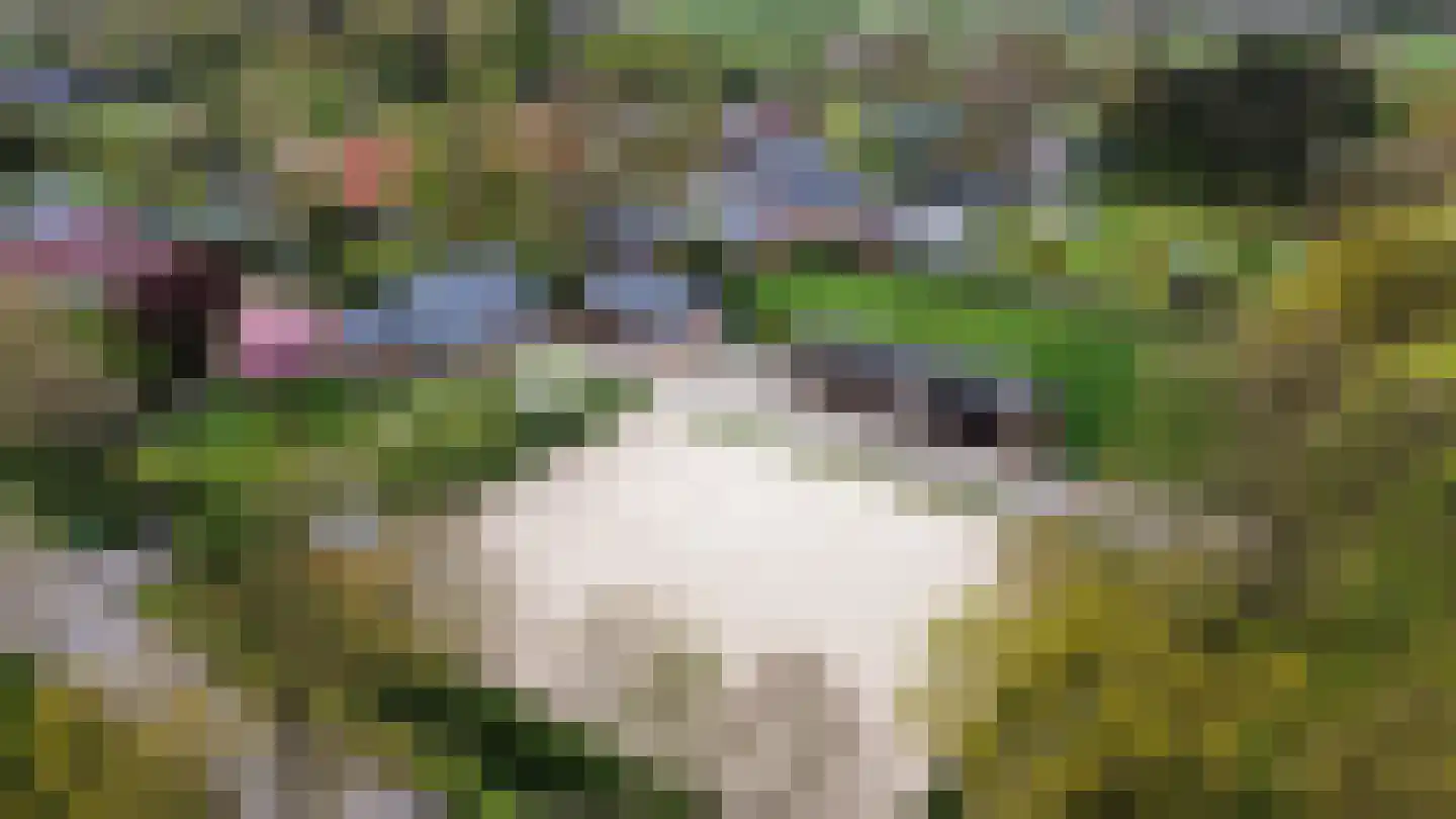 Dokter Ypeijlaan 12 Noardburgum thumbnail 7