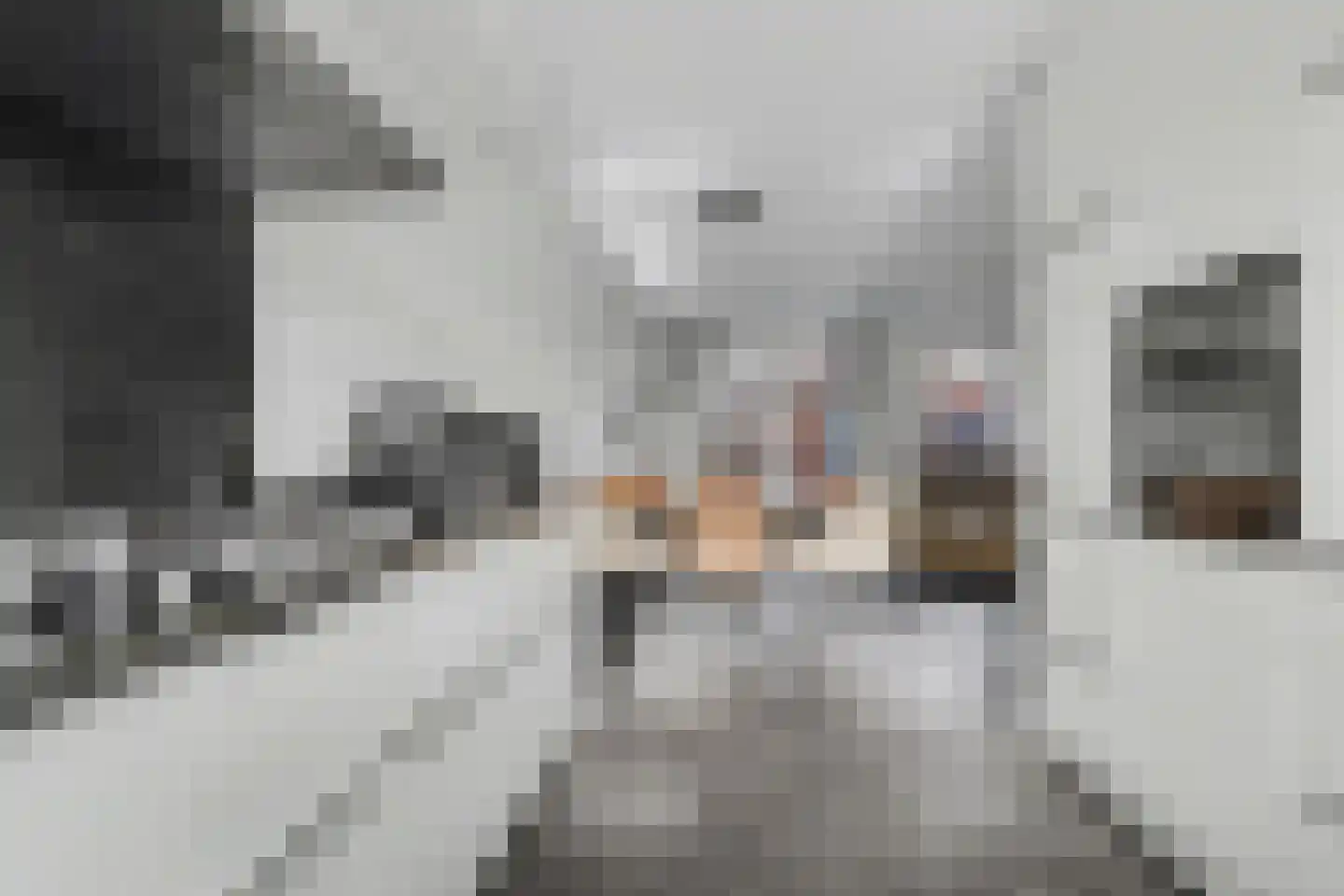 Dokter Zoetemanstraat 12 Stavenisse thumbnail 10