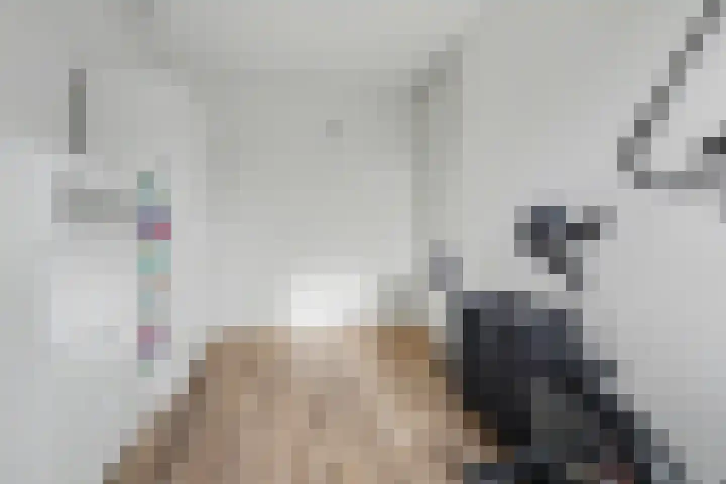 Dokter Zoetemanstraat 12 Stavenisse thumbnail 18