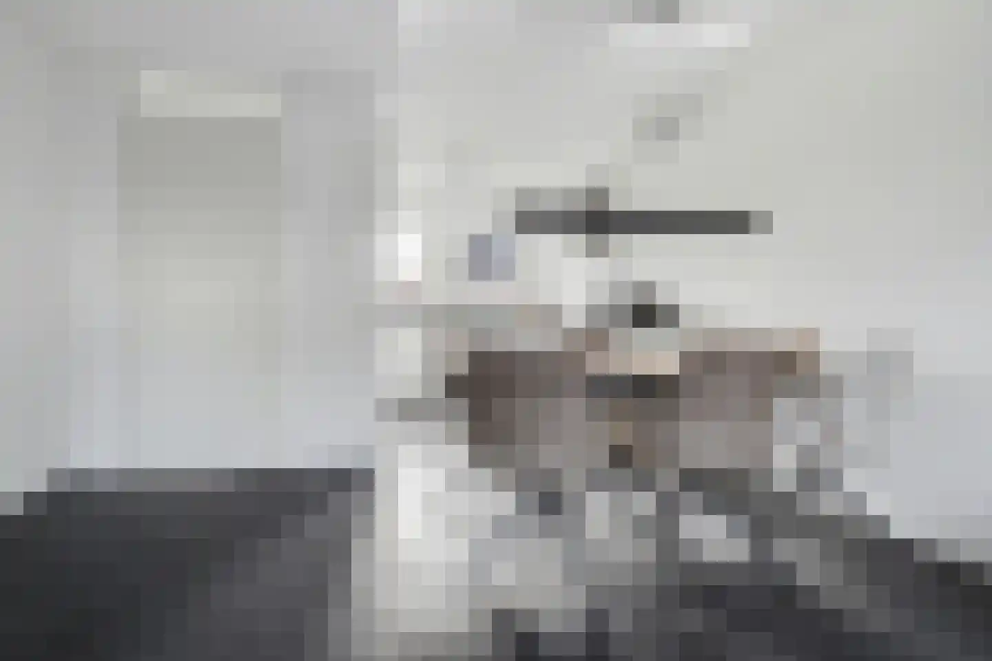 Dokter Zoetemanstraat 12 Stavenisse thumbnail 9