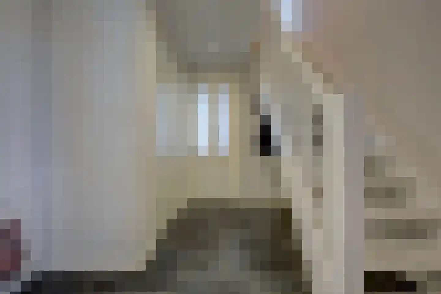 Dokter Zoetemanstraat 9 Stavenisse thumbnail 11