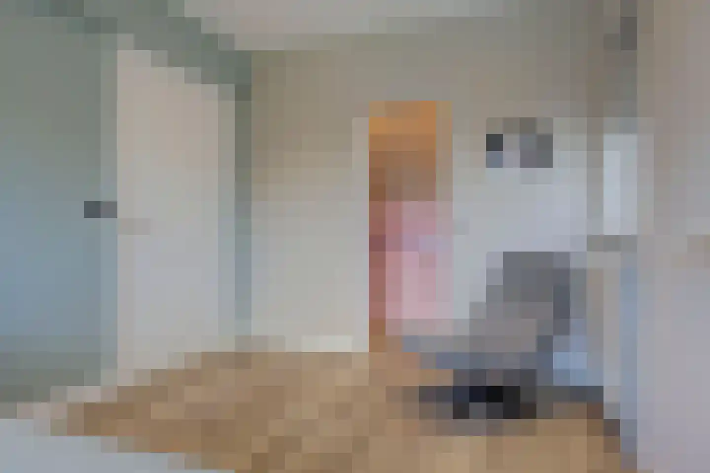 Dokter Zoetemanstraat 9 Stavenisse thumbnail 34