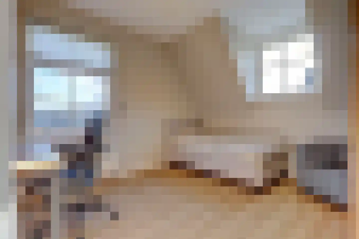 Dokter Zoetemanstraat 9 Stavenisse thumbnail 36