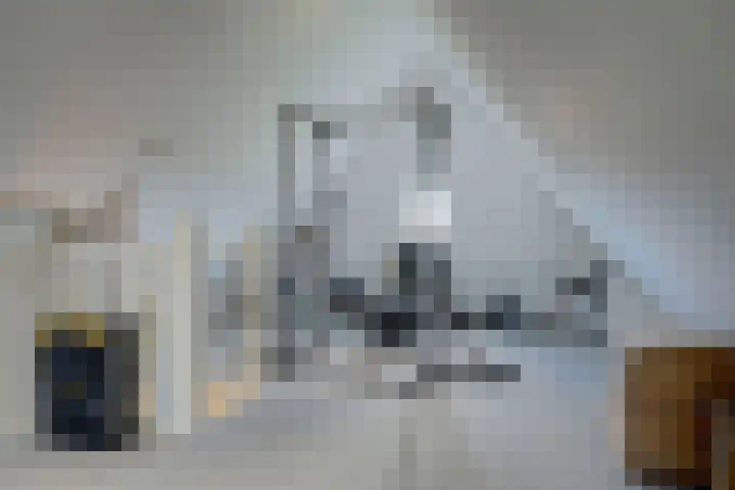 Dokter Zoetemanstraat 9 Stavenisse thumbnail 44