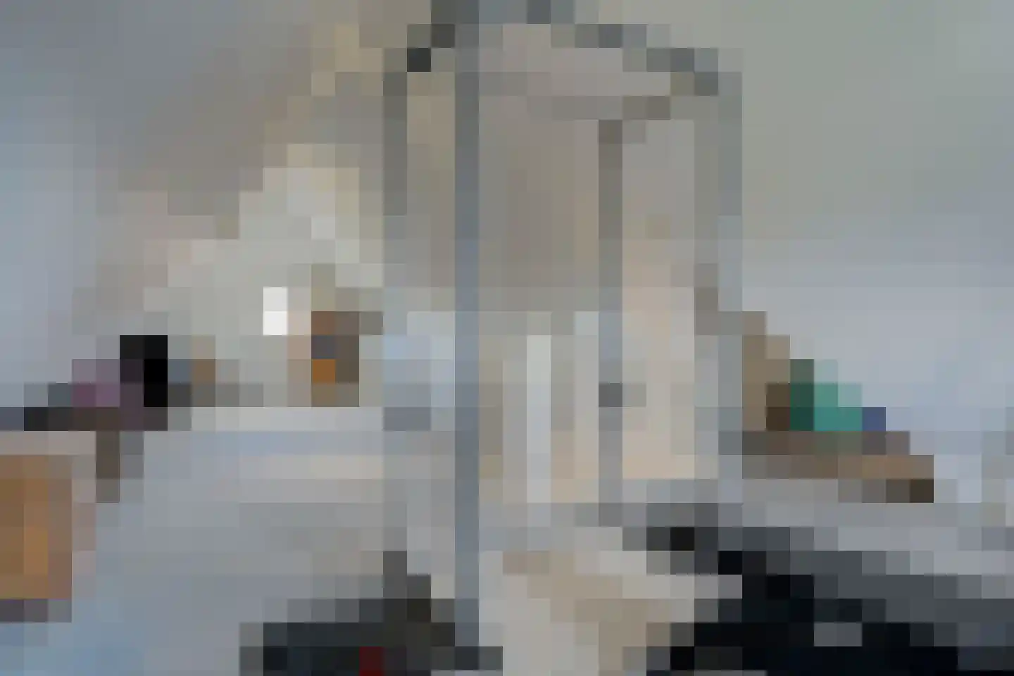 Dokter Zoetemanstraat 9 Stavenisse thumbnail 45